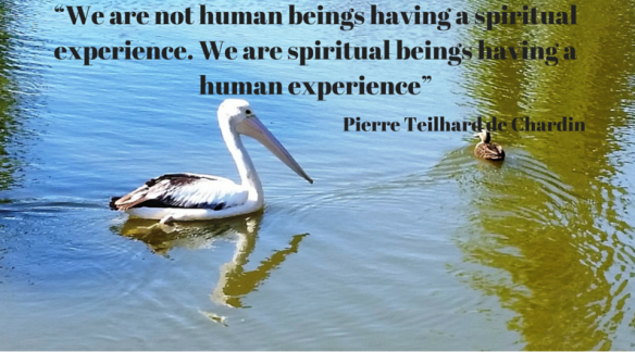 “We are not human beings having a spiritual