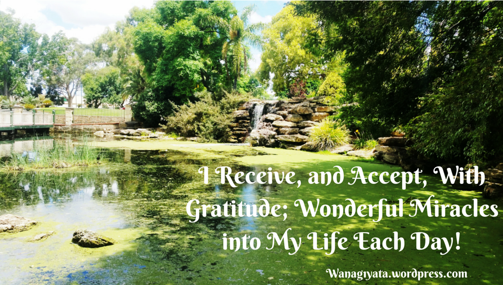 I Receive, and Accept, With Gratitude; Wonderful Miracles into My Life Each Day!